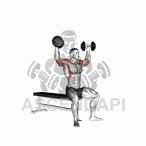 Arnold Dumbbell Press