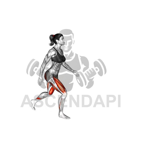 Reverse Barbell Curl