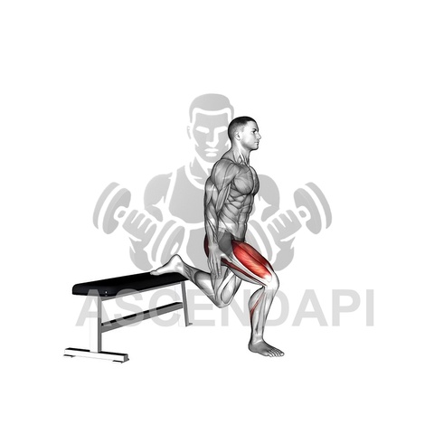 Bulgarian Split Squat