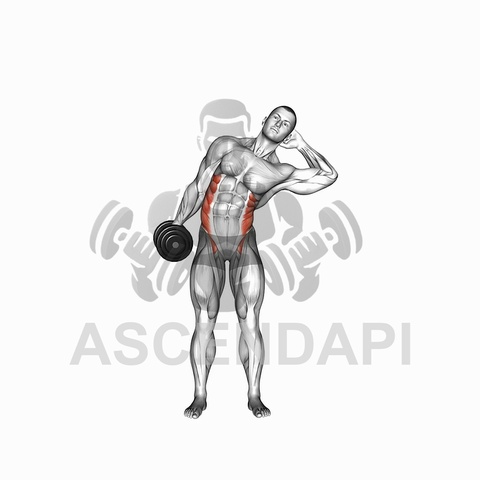 Dumbbell Side Bend