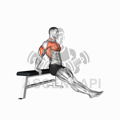 Bench Dip