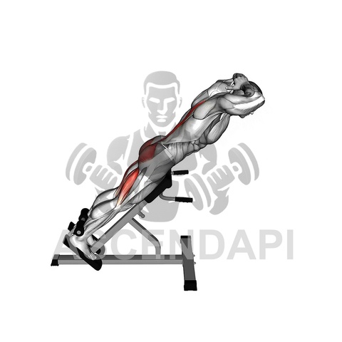 Stability Ball Hyperextension