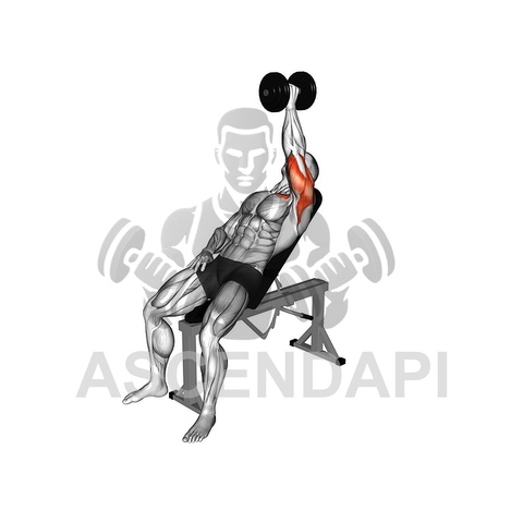 Incline Dumbbell Row