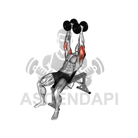 Pause Barbell Incline Bench Press