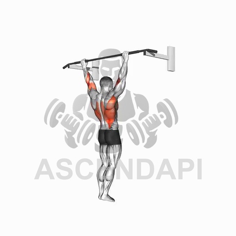 Reverse Grip Pull Down