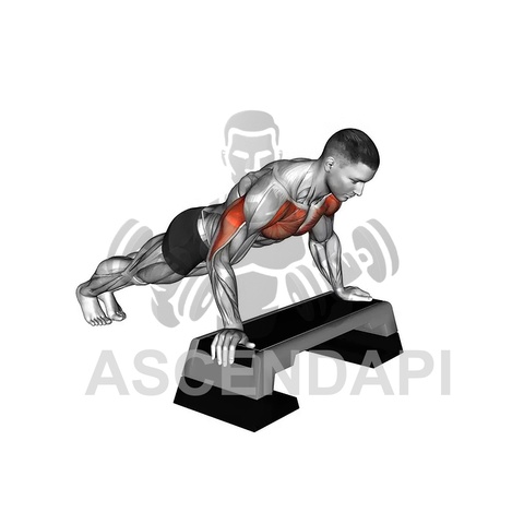 Balance Trainer Push Up
