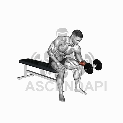 Single Arm Preacher Curl