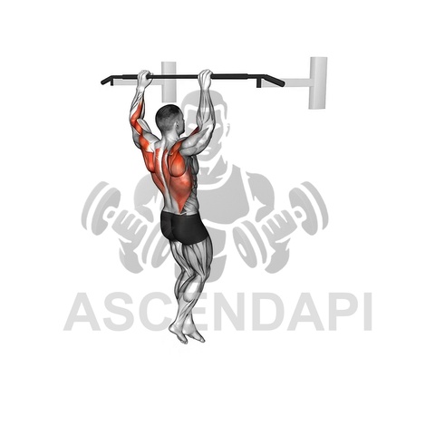 Pull Up Bar