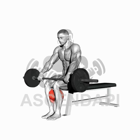 Seated Calf Raise