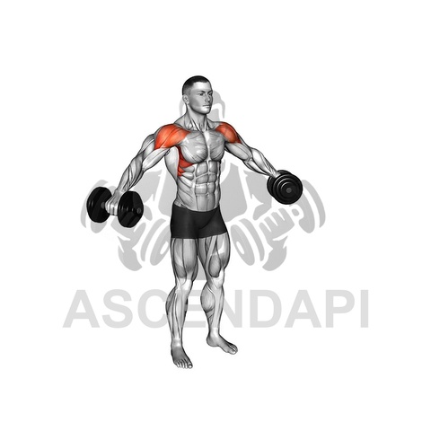 Lateral Isometric Neck