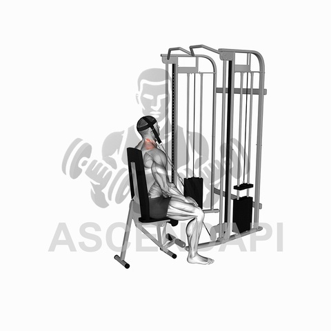 Cable Rope Overhead Triceps Extension