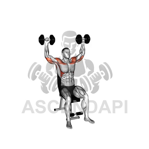 Machine Shoulder Press