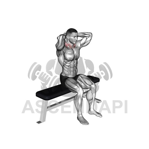 Seated Point And Flex