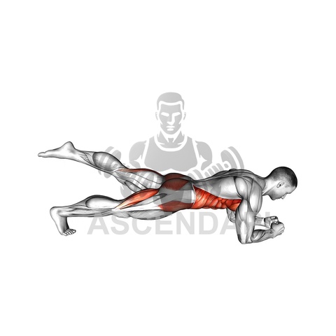 Quadruped Plank With Leg Extensions