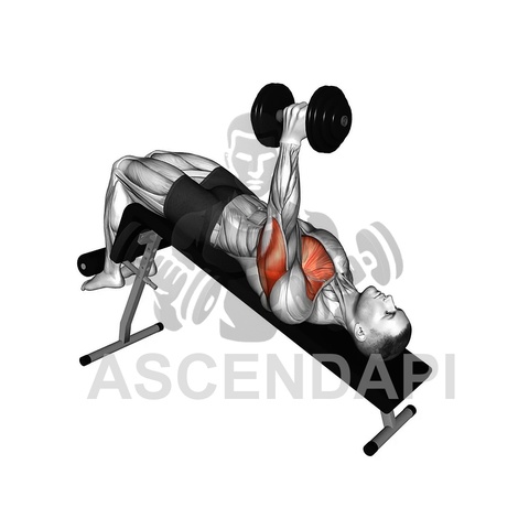 Dumbbell Seated Hammer Curl To Front Press