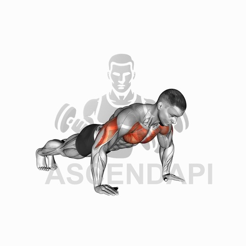 Push Up