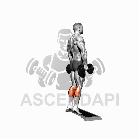 Standing Dumbbell Calf Raise