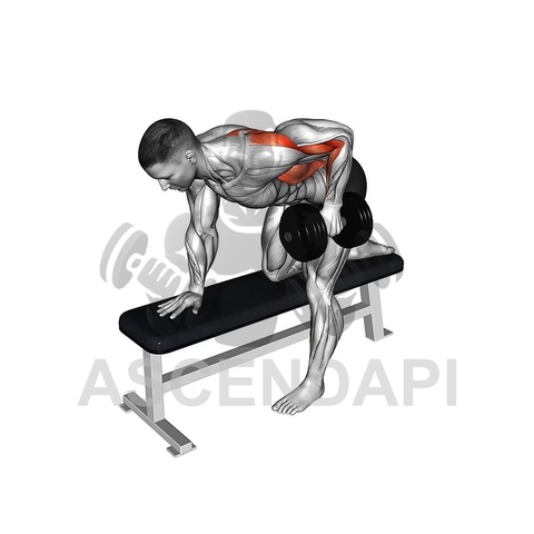 Dumbbell Row