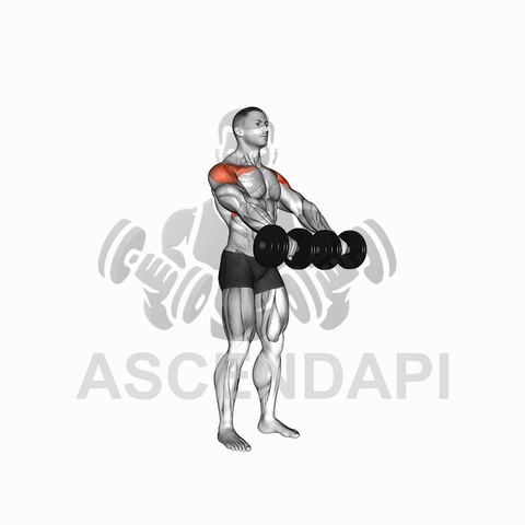 Dumbbell Front Raise
