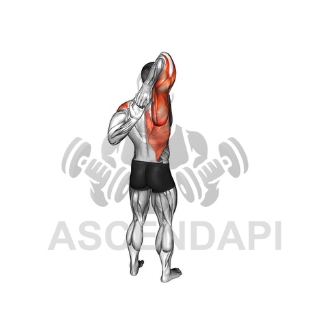 Behind the Back Cable Lateral Raise